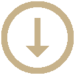 arrow-alt-circle-down.png